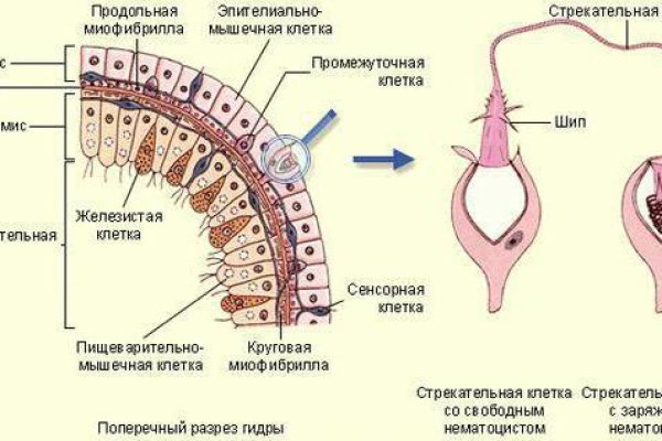 Как восстановить пароль кракен